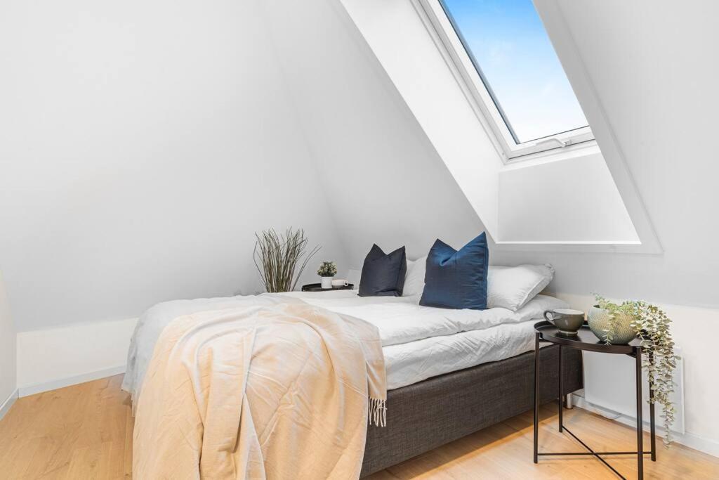 New! Huge Modern Apartment! Fit For Two Families! Bergen Eksteriør billede